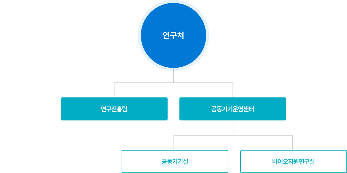 조직도